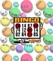  Jogo Bingo