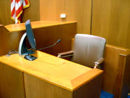expert witnesses