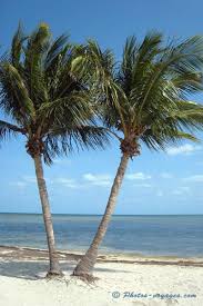 plages floride