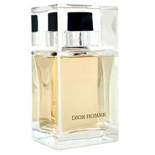 christian dior homme