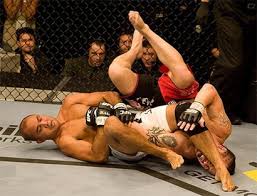 ufc mma