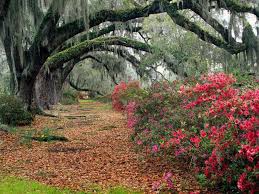 beautiful landscapes