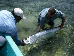 fishing in belize