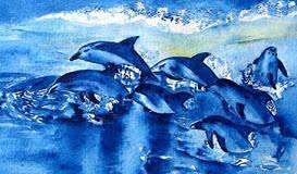 dibujos delfines