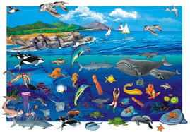 animals of the ocean
