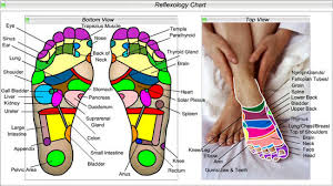 detoxify foot pads