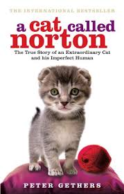 a cat called norton