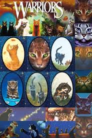 warriors cat series