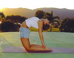 what is yoga