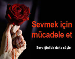 sevgi resimleri