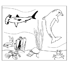 images à colorier animaux