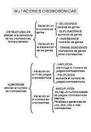 mutaciones genicas