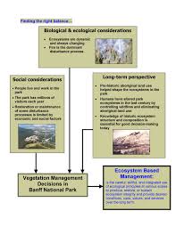 vegetation management