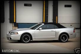 ford svt cobra