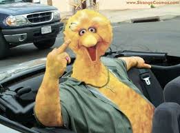 Big Bird