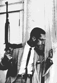 malcolm x by any means necessary poster