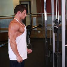 tricep cable extensions