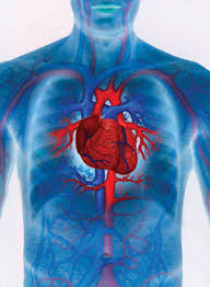 cardiac pump
