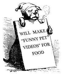 funny pet videos