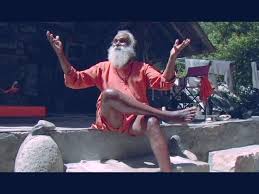 himalayan yogis