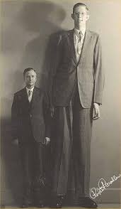 tallest