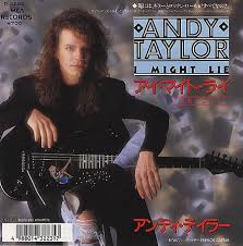 andy taylor duran