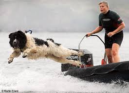 dogs with webbed paws
