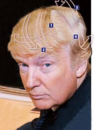 donald trump wigs