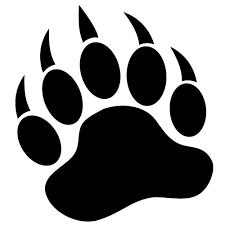 bear decal