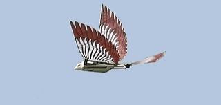 radio controlled bird
