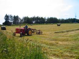 david brown tractor