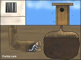 funny toons