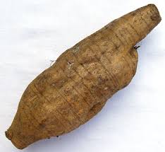 arrowroot substitute