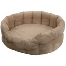 bed dog