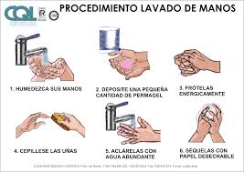 higiene de manos