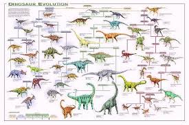 evolution poster