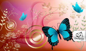 butterfly images