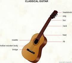 instrument guitar