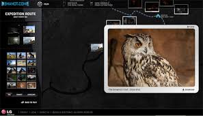 images?q=tbn:XmX8jjx9CmeV8M:<a href=
