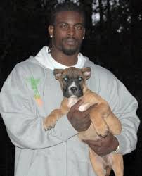 Michael Vick, Somehow