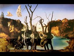 dali swans