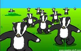 Badgers.JPG