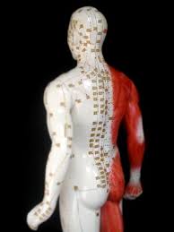 acupuncture meridien