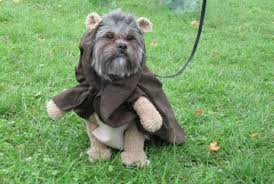 baby ewok costume