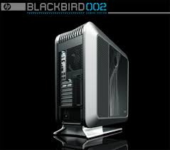 blackbird 002