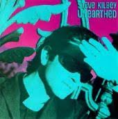 Steve Kilbey - Out Of The Pink Sky