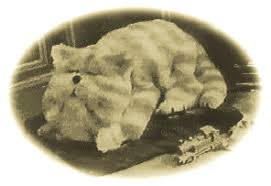 bagpuss shop
