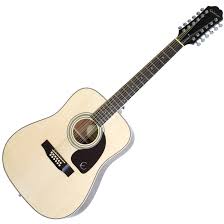 12 strings acoustic guitar