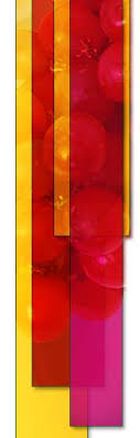 -\x3d Botanical Vitality \x3d-