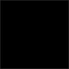 Prince - The Black Album